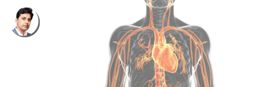 Heart-Vascular-Key-Visual