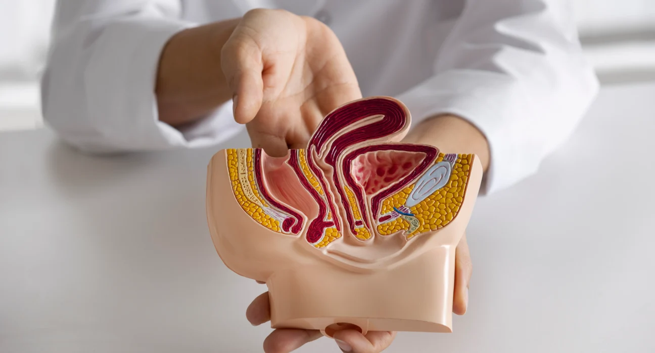 high-angle-doctor-explaining-anatomy-1296x700